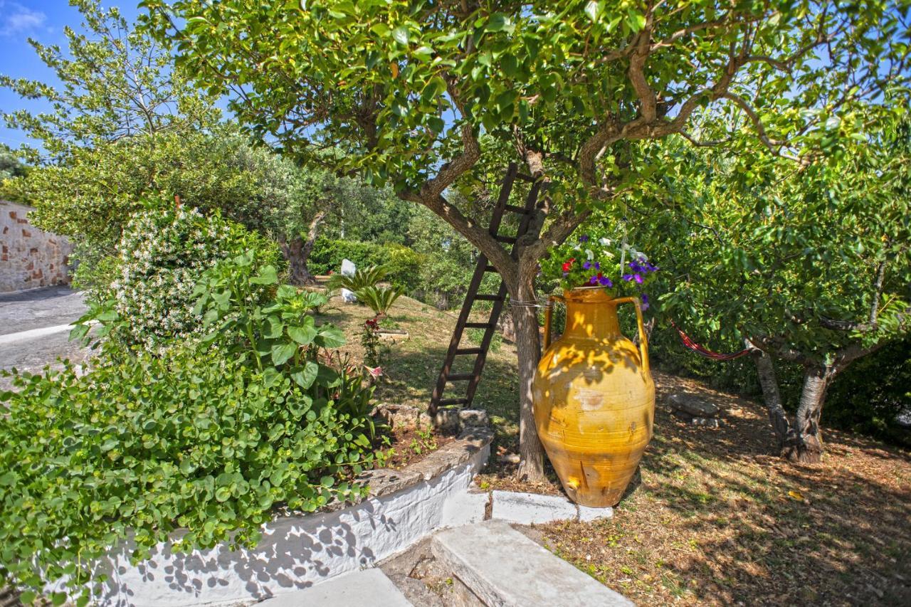 Il Brigante Bed & Breakfast Alberobello